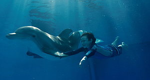 Video zum Film „Mein Freund, der Delfin“