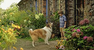 Szenenbild aus dem Film „Lassie - ein neues Abenteuer“