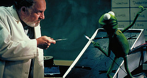 Szenenbild aus dem Film „Kermit, der Frosch“
