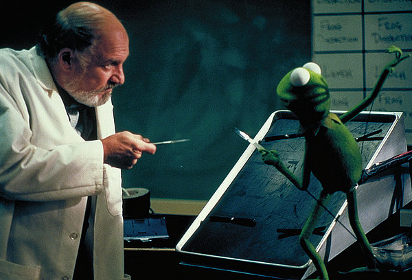 Kermit, der Frosch