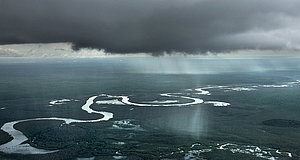 Szenenbild aus dem Film „Amazonia - Abenteuer im Regenwald“