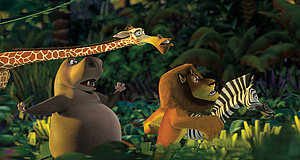Szenenbild aus dem Film „Madagascar“