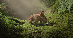 Szenenbild aus dem Film „Dinosaurier 3D – Im Reich der Giganten“