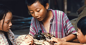 Szenenbild aus dem Film „Tiger-Team - Der Berg der 1000 Drachen“