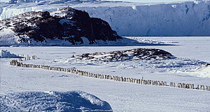 Szenenbild aus dem Film „Die Reise der Pinguine“