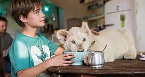 Szenenbild aus dem Film „Mia und der weiße Löwe“