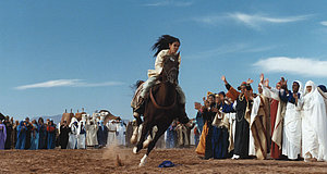 Szenenbild aus dem Film „Zaïna, Königin der Pferde“