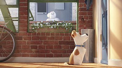 Szenenbild aus dem Film „Pets“