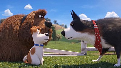Szenenbild aus dem Film „Pets 2“