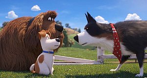 Video zum Film „Pets 2“