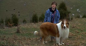 Szenenbild aus dem Film „Lassie – Freunde fürs Leben“