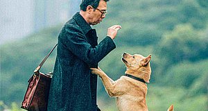 Video zum Film „Hachiko – Eine Freundschaft für die Ewigkeit!“