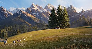 Szenenbild aus dem Film „Heidi - Die Legende vom Luchs“