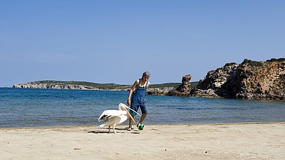 Szenenbild aus dem Film „Ein griechischer Sommer“