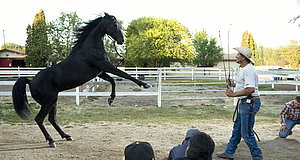 Szenenbild aus dem Film „Flicka 3 - Beste Freunde“