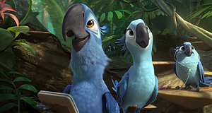 Video zum Film „Rio 2 - Dschungelfieber“