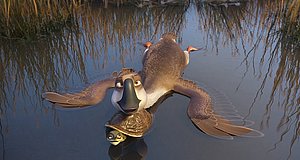 Szenenbild aus dem Film „Gans im Glück“