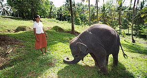 Szenenbild aus dem Film „Chandani und ihr Elefant“