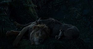 Szenenbild aus dem Film „Der König der Löwen (2019)“