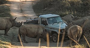 Szenenbild aus dem Film „Thabo - Das Nashorn-Abenteuer“