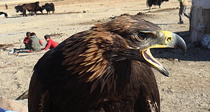 Szenenbild aus dem Film „Die Stimme des Adlers“