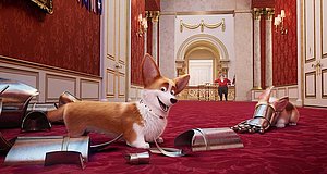 Video zum Film „Royal Corgi - Der Liebling der Queen“