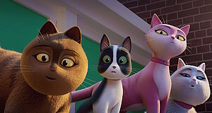 Szenenbild aus dem Film „Miss Moxy“ Szenenbild aus dem Film „Miss Moxy“