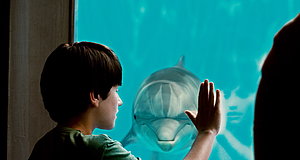 Szenenbild aus dem Film „Mein Freund, der Delfin“