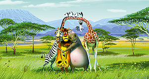 Video zum Film „Madagascar 2“
