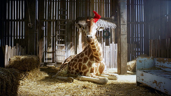 Mein Freund, die Giraffe