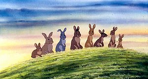 Video zum Film „Watership Down - Unten am Fluss“