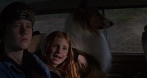 Szenenbild aus dem Film „Lassie – Freunde fürs Leben“