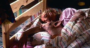 Szenenbild aus dem Film „Rennschwein Rudi Rüssel“