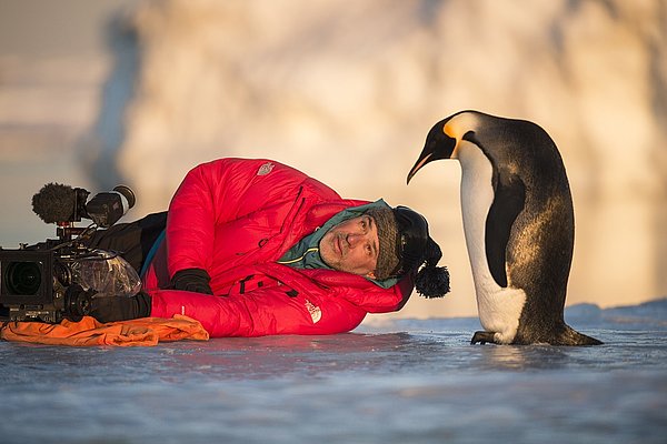 Die Reise der Pinguine 2