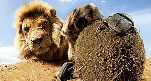 Szenenbild aus dem Film „Hidden Kingdoms - Im Königreich der kleinen Tiere“