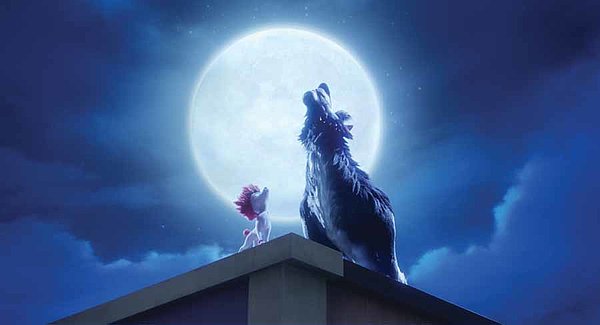 100 % Wolf