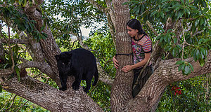 Szenenbild aus dem Film „Ella und der schwarze Jaguar“