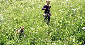 Szenenbild aus dem Film „Der Fuchs und das Mädchen“