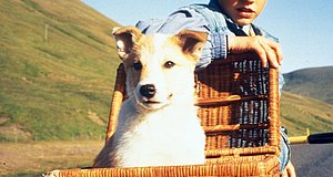 Video zum Film „Emil und der kleine Skundi“