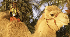 Szenenbild aus dem Film „Treasure Buddies – Die Schatzschnüffler in Ägypten“
