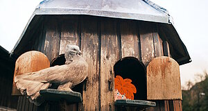 Szenenbild aus dem Film „Pumuckl und das große Missverständnis“