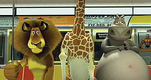 Video zum Film „Madagascar“