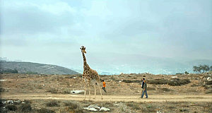 Szenenbild aus dem Film „Giraffada“