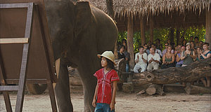 Szenenbild aus dem Film „Lucky, mein Freund mit dem Rüssel“