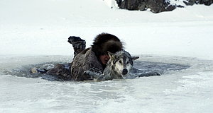 Szenenbild aus dem Film „Der Junge und der Wolf“