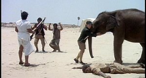 Szenenbild aus dem Film „Mein Freund, der kleine Elefant“