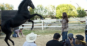 Szenenbild aus dem Film „Flicka 3 - Beste Freunde“