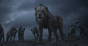 Szenenbild aus dem Film „Der König der Löwen (2019)“