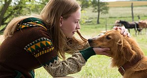 Szenenbild aus dem Film „Bailey - Ein Freund fürs Leben“