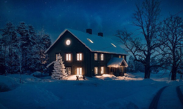 Mission: Mäusejagd - Chaos unterm Weihnachtsbaum